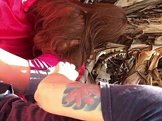 Feels So Good As Inteada Vadia De Quatro Pra Mim Já Tá Dano O Cu Est Putinha Sex Toy