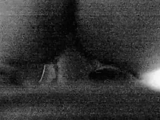 Fucking the LESBIAN HOMIE in Bedroom with Dirty Talk!