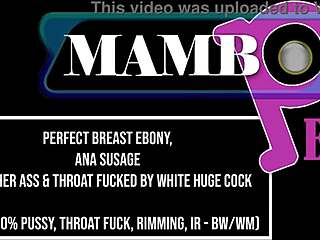 ebony ana susage with perfect breasts takes monster cock in ass to mouth anal, deep throat spit rim ir!