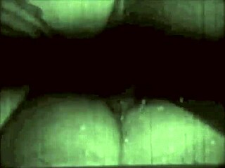 Vintage Erotic Drawings Of Hairy Beaver And Pussy In Retro Style