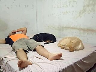 Peruvian bailarina still wants to move so she decides to do it on her cousin's polla with big ass blowjob doggystyle fucking. She gives sentones that leave him seco in wet pussy hardcore sex.