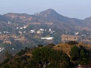 Stubby Milf Bent Over In Kitchen For Rough Doggystyle Fantasy