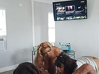 Ebony Princesses Drippinvelvet and Hayze Give Gaktrizzy Deepthroat Blowjob After Wild Orgy with Clothes Ripped