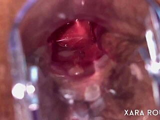 wow anal vision with speculum on mature bbw's hairy big ass 😈