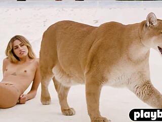 Perfect All Natural Babe Strips Naked to Pose and Expose Sexy Body with Big Tits and Tattoo