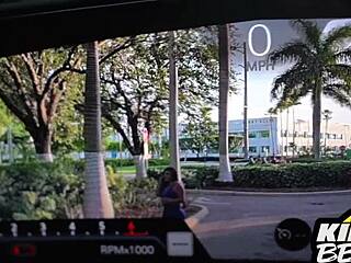 Escalade Escapade Adventure