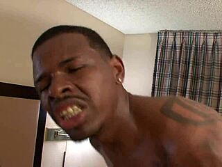 Chunky Black Lady with Big Tits and Tattooed Guy Share Tight Pussy Sex in Bent Over Doggystyle All Night