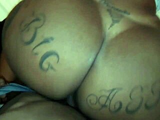 Estava com vergonha mas depois fudeu gostoso, chatting about that amateur Brazilian encounter