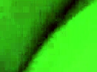 Exploring Vietnam's Cultural Highlights!