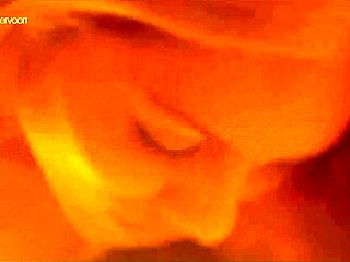 萝拉·范德沃特最佳桌上班炮