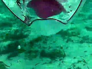 Huge Cock Petite Teen Toys Narrow Ass Poolside