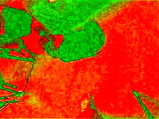 Jade Wilde's Quickie Dungeon Creampie With Swingers