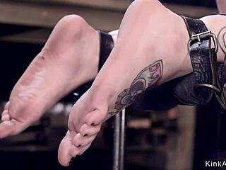 金发奴隶狗爬绑缚遭鞭打猛掐