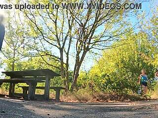 damn that porn picnic flashes natural tits outdoors!